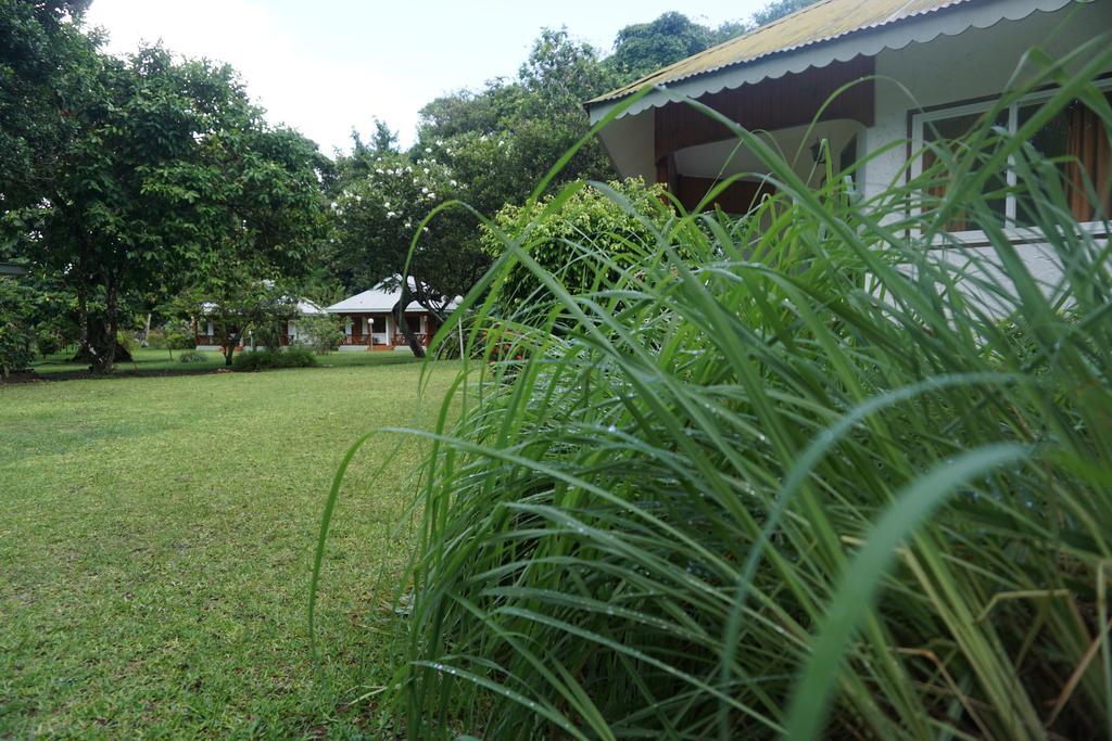 Chalet Bamboo Vert 라디게 외부 사진